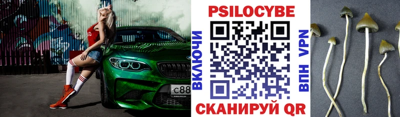 Галлюциногенные грибы Cubensis  как найти закладки  Фокино 